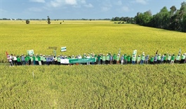 The PAN Group shaping a better future with ESG strategy