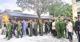 Triệt phá đường dây lừa đảo, bắt nhiều chủ tịch, giám đốc công ty "ma"