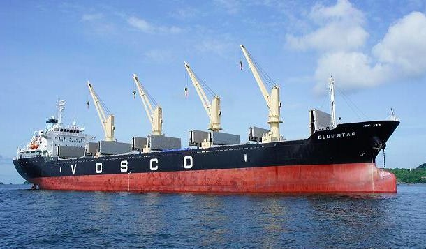 Vosco's (VOS) profits projected to plummet in 2025