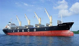 Vosco's (VOS) profits projected to plummet in 2025