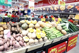 Domestic market grows to $269 billion in 2025 on improving demand and digital push