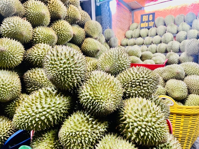 11 tháng năm 2025 Việt Nam xuất khẩu sầu riêng sang thị trường Trung Quốc đạt 3,24 tỉ USD. Ảnh: TÚ UYÊN