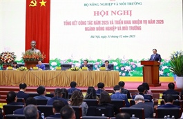 Agriculture, environment remain key pillars of national economy: PM