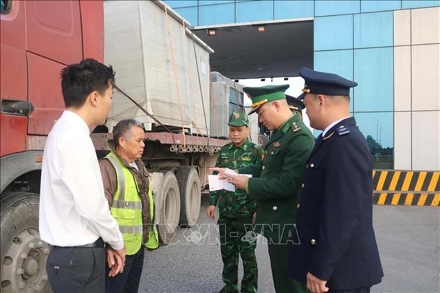 Quảng Ninh welcomes the first imported shipment in 2026