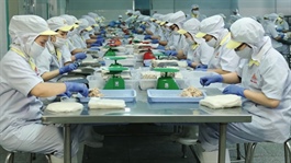 HCM City businesses gear up for Tết with largest-ever stockpiles