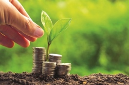 Khi tín dụng bắt đầu "xanh" hóa