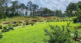 Mua đất nông nghiệp bằng giấy viết tay từ năm 2002 có được cấp sổ đỏ?