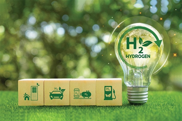 The green hydrogen and ammonia future for Vietnam