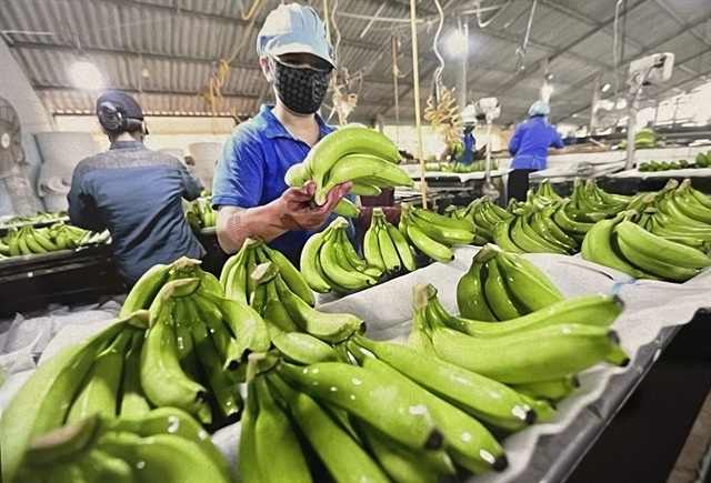 Việt Nam eyes $10 billion fruit and vegetable exports