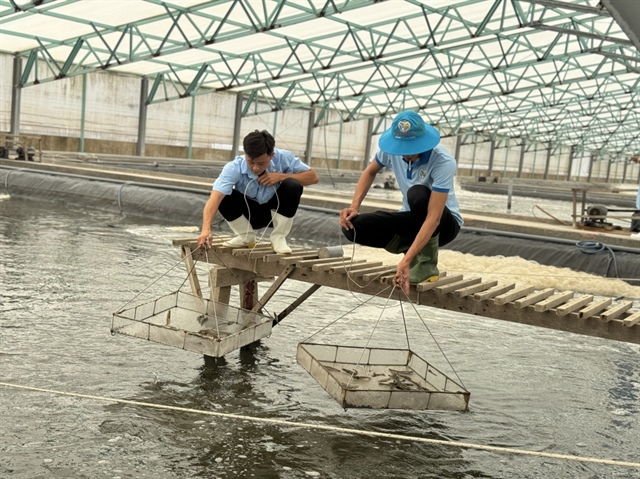 Vietnam’s seafood exports surpass $11 billion in 2025