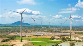 Một cá nhân rót vốn giúp VE3 cơ cấu nợ ngân hàng