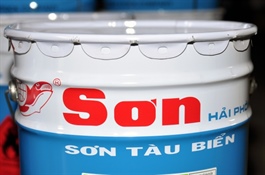 HPP tạm ứng cổ tức tiền mặt tỷ lệ 10%