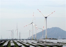 Unprecedented opportunities for green financing in Việt Nam