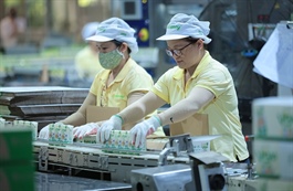 QNS tạm ứng cổ tức đợt 2 tỷ lệ 10%, dự chi gần 370 tỷ