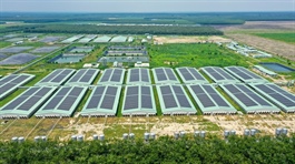 “Heo ăn chay” BAF hoàn tất chào bán lô trái phiếu ngàn tỷ