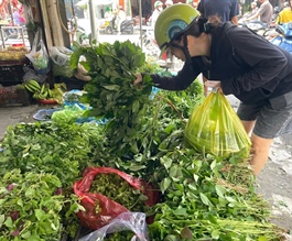 HCM City moves to boost vegetable output for Lunar New Year