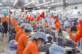 Dệt may Huế lập đỉnh lợi nhuận năm 2025, thận trọng với kế hoạch 2026