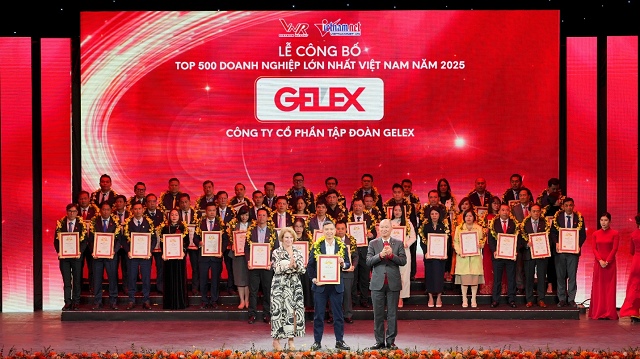 GELEX vào Top 50 Doanh nghiệp lớn nhất Việt Nam