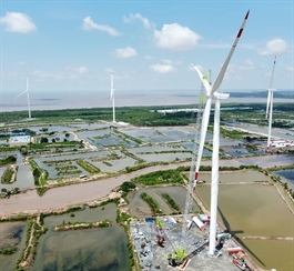 Pacifico Energy starts commercial operations at Sunpro Wind Farm in Mekong Delta