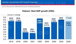 UOB lifts Vietnam growth outlook to 7.5 per cent for 2026