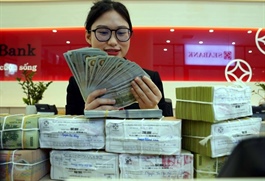 Vì sao tỉ giá USD/VND sẽ êm hơn trong năm 2026?