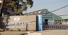 Vụ patê 'dính' thịt bệnh: Tạm dừng sản xuất tại nhà máy đồ hộp Hạ Long - Hải Phòng