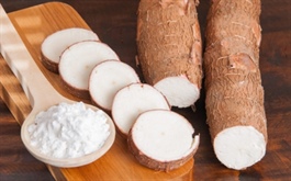 Công ty bán tinh bột sắn tạm ứng cổ tức 10% sau quý 3 lãi đột biến