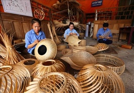 Draft decree seeks to overhaul Small and Medium Enterprise Development Fund