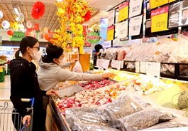 Ministries step up price controls ahead of Tết