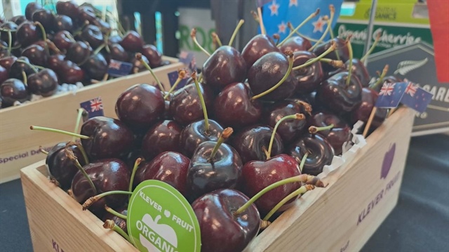 Trái cây nhập khẩu cao cấp, có chứng nhận an toàn dự kiến sẽ tăng trưởng trong năm 2026. Ảnh: THU HÀ