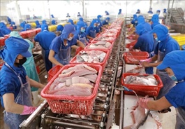 Seafood exports rise sharply despite global uncertainty