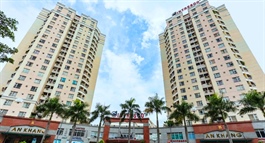 Intresco muốn chi trăm tỷ thâu tóm Nhà Nam Á