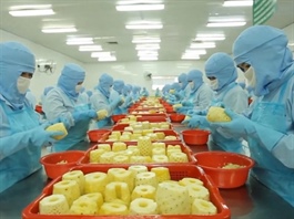 ANT chào sàn HOSE với giá 40,900 đồng/cp