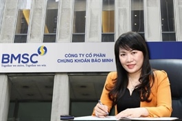 Cựu chủ tịch ngân hàng tái xuất tại Chứng khoán Bảo Minh