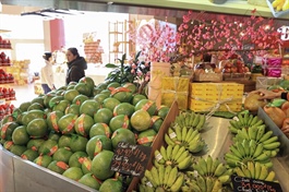 Nông thôn - “đường băng” tăng trưởng dài hạn của bán lẻ hiện đại Việt Nam