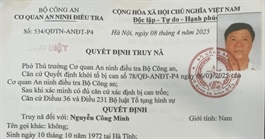 Đề nghị truy tố vắng mặt Chủ tịch Tổng Công ty Cây xanh Công Minh