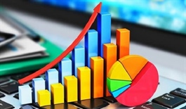 Chính phủ thay đổi lịch công bố một số thông tin thống kê quan trọng như GDP, CPI