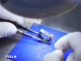 Việt Nam emerges as typical case of Asia’s FDI success