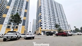 Bắc Ninh công bố bán nhà ở xã hội tại 3 dự án, giá từ hơn 12 triệu đồng/m²