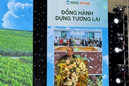 Bầu Đức: ‘Có anh Ba lo, các anh em cứ yên tâm làm việc’