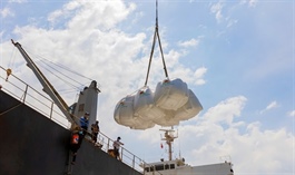 Vietnamese rice exporters pivot strategy for a challenging 2026