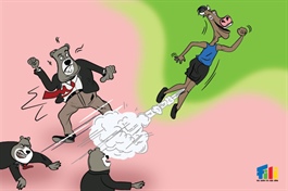 Vietstock Daily 20/01/2026: Hướng tới vùng mục tiêu mới