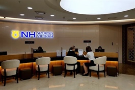 Quý 4/2025, NHSV hồi phục từ nền thấp