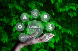 Sàn tín chỉ carbon: HNX là đơn vị vận hành, miễn phí dịch vụ đến hết năm 2028