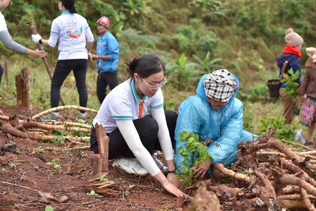 ​​​​​​​ABBANK’s annual Tết social welfare programme offers ‘green’ livelihood support in Nghệ An