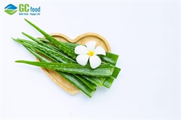 Cách làm nha đam mật ong để giải nhiệt, làm đẹp da hiệu quả tại nhà