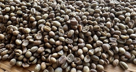 Chỉ 15 ngày đầu năm, doanh nghiệp bán một loại hạt thu về hơn 430 triệu USD