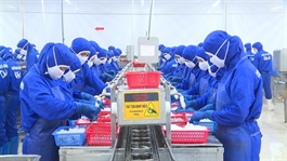 Việt Nam’s seafood industry targets stability after record-breaking year