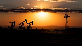 Giá dầu đi ngang 