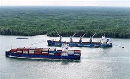 AMRO forecasts Việt Nam to lead growth in ASEAN+3 in 2026